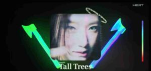 (G)I-DLE - Tall Trees Lyrics | LyricsTUBEs