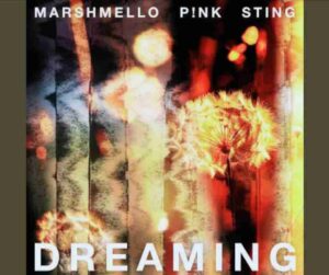 Dreaming Lyrics - Marshmello | P!nk | Sting